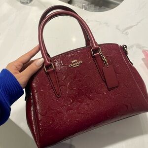 Coach mini sage carryall